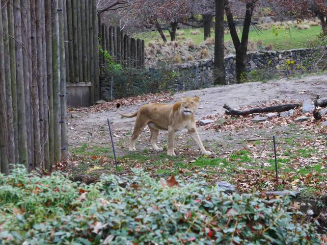 USA_2011-11-21 15-46-55